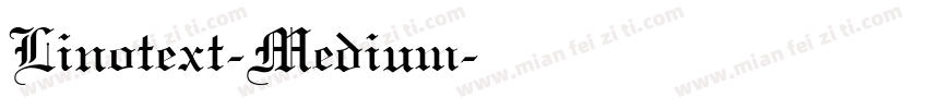 Linotext-Medium字体转换