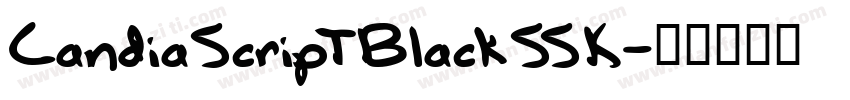 CandiaScriptBlackSSK字体转换