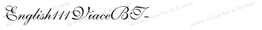 English111ViaceBT字体转换