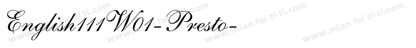 English111W01-Presto字体转换