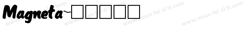 Magneta字体转换
