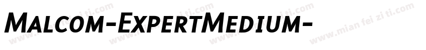 Malcom-ExpertMedium字体转换