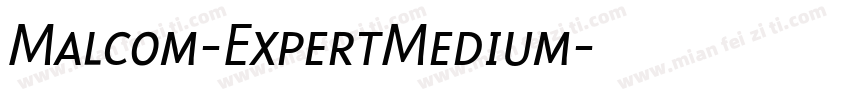 Malcom-ExpertMedium字体转换