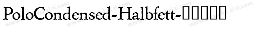 PoloCondensed-Halbfett字体转换