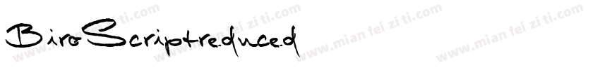 BiroScriptreduced字体转换