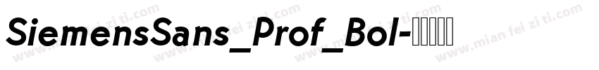 SiemensSans_Prof_Bol字体转换