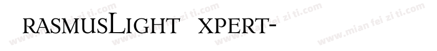 ErasmusLightExpert字体转换