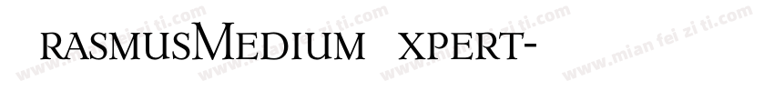 ErasmusMediumExpert字体转换