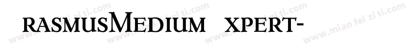ErasmusMediumExpert字体转换