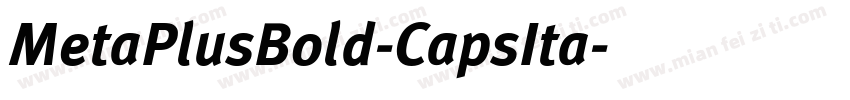 MetaPlusBold-CapsIta字体转换