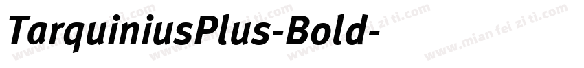 TarquiniusPlus-Bold字体转换