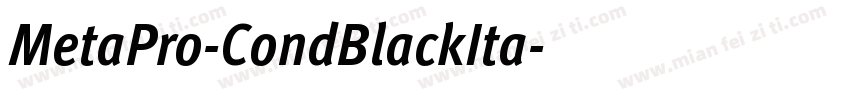 MetaPro-CondBlackIta字体转换