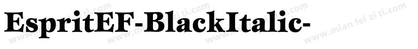 EspritEF-BlackItalic字体转换