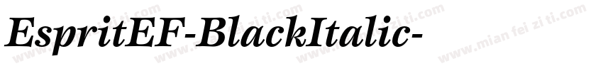 EspritEF-BlackItalic字体转换
