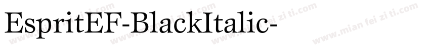 EspritEF-BlackItalic字体转换