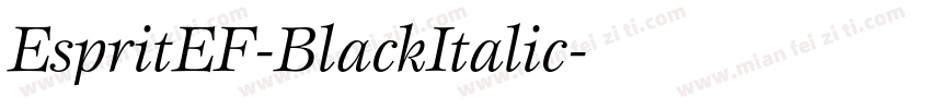 EspritEF-BlackItalic字体转换