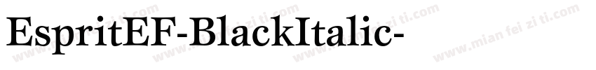 EspritEF-BlackItalic字体转换