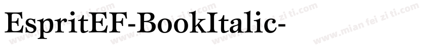 EspritEF-BookItalic字体转换