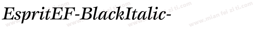 EspritEF-BlackItalic字体转换
