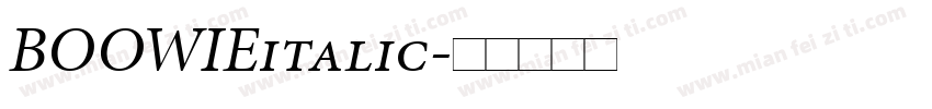 BOOWIEitalic字体转换