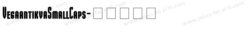 VegaantikvaSmallCaps字体转换