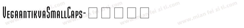 VegaantikvaSmallCaps字体转换