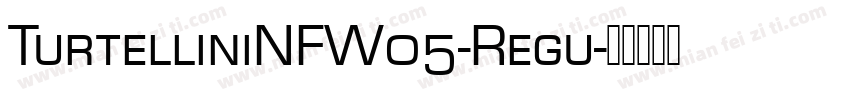 TurtelliniNFW05-Regu字体转换