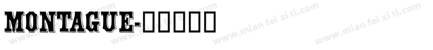 Montague字体转换