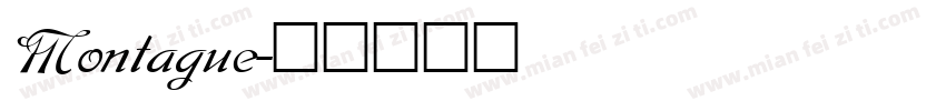 Montague字体转换