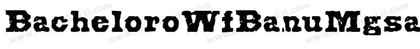 BacheloroWfBanuMgsairZeeth字体转换