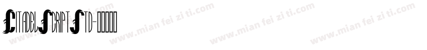 CitadelScriptStd字体转换