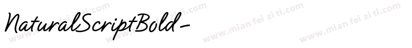 NaturalScriptBold字体转换