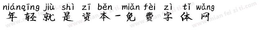 年轻就是资本字体转换