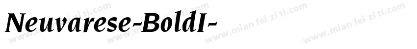 Neuvarese-BoldI字体转换