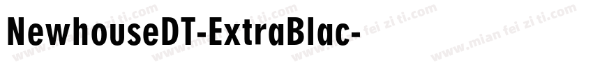NewhouseDT-ExtraBlac字体转换