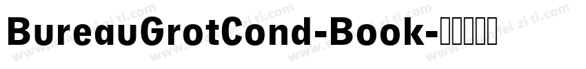 BureauGrotCond-Book字体转换
