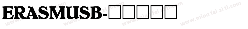 ERASMUSB字体转换