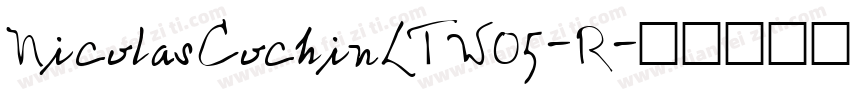 NicolasCochinLTW05-R字体转换