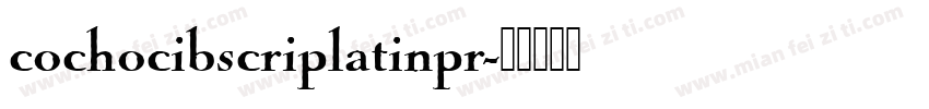 cochocibscriplatinpr字体转换