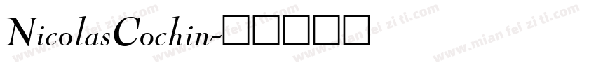 NicolasCochin字体转换