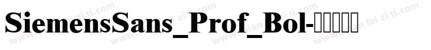 SiemensSans_Prof_Bol字体转换