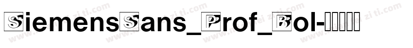 SiemensSans_Prof_Bol字体转换