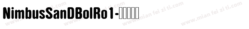 NimbusSanDBolRo1字体转换