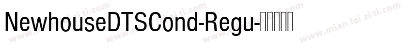 NewhouseDTSCond-Regu字体转换