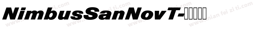 NimbusSanNovT字体转换