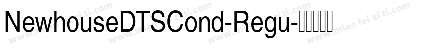 NewhouseDTSCond-Regu字体转换