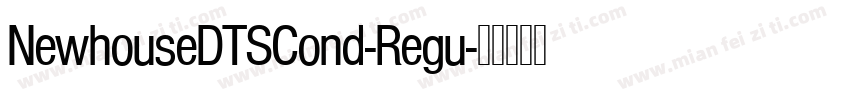 NewhouseDTSCond-Regu字体转换