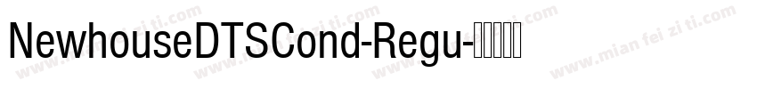 NewhouseDTSCond-Regu字体转换