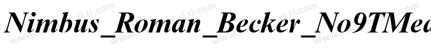Nimbus_Roman_Becker_No9TMed字体转换
