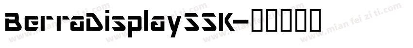 BerraDisplaySSK字体转换